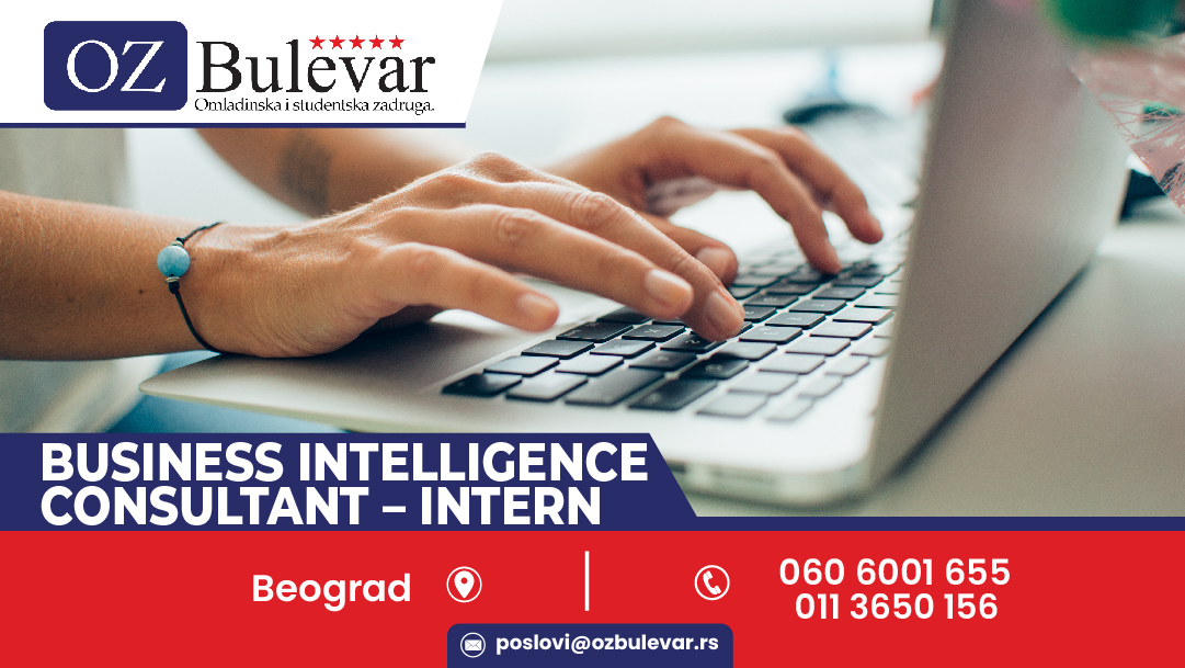 Business Intelligence Consultant - Intern