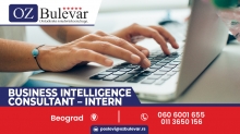Business Intelligence Consultant - Intern
