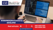 WordPress (WooCommerce) Developer